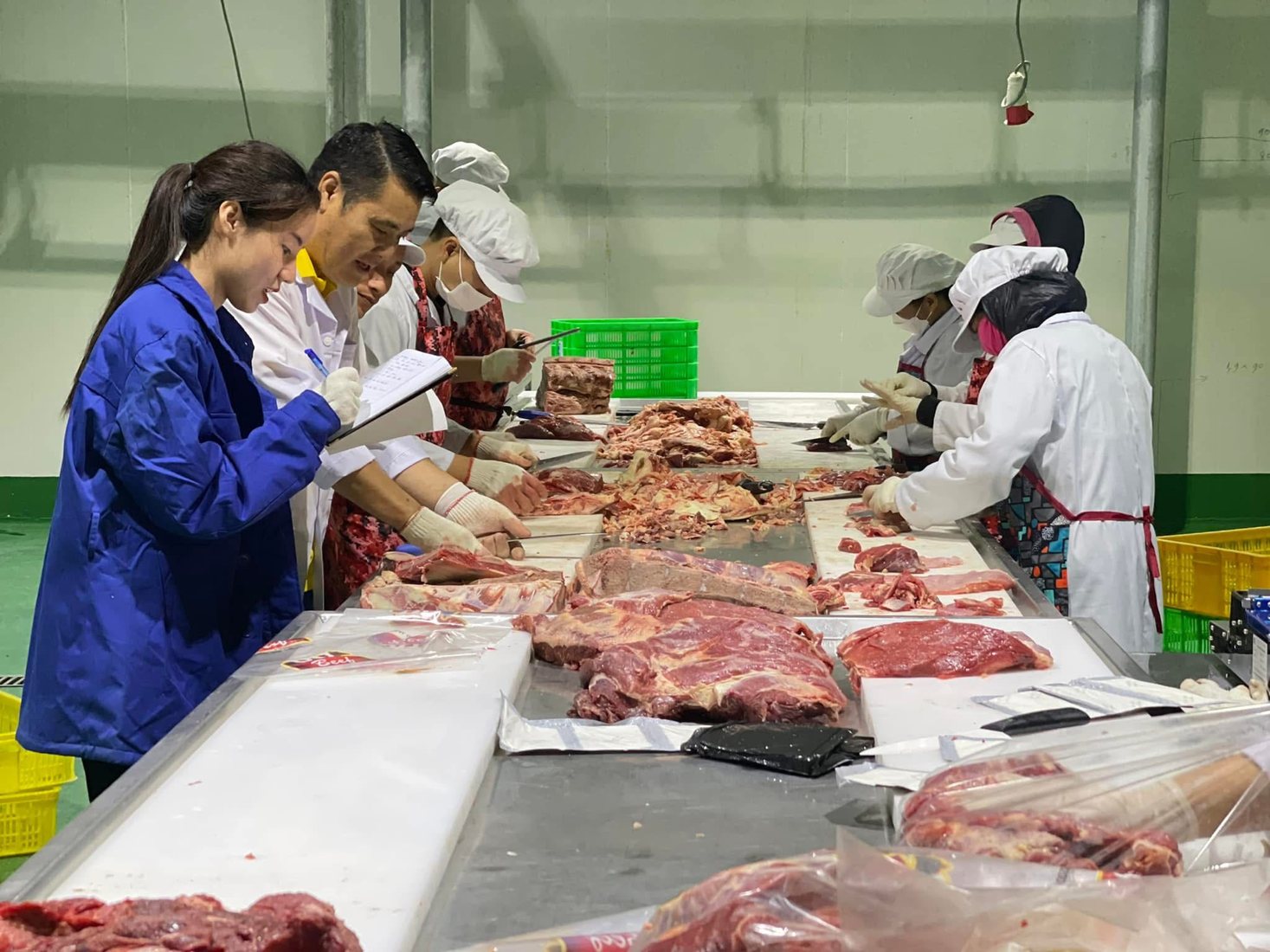 Kiểm tra nguyên liệu và công đoạn pha cắt tại VinAus
